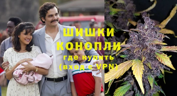 прущая мука Алзамай