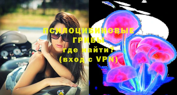 СК Абдулино