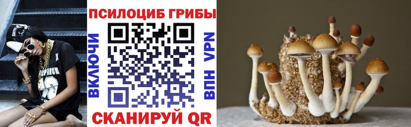 кракен как зайти  Комсомольск-на-Амуре  Псилоцибиновые грибы GOLDEN TEACHER 